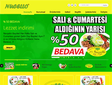 Tablet Screenshot of nucello.com